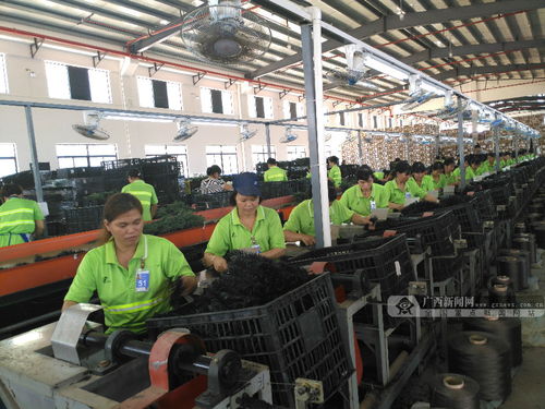 南寧“回馬槍”行動 網絡工程助力，15噸問題凍肉現原形